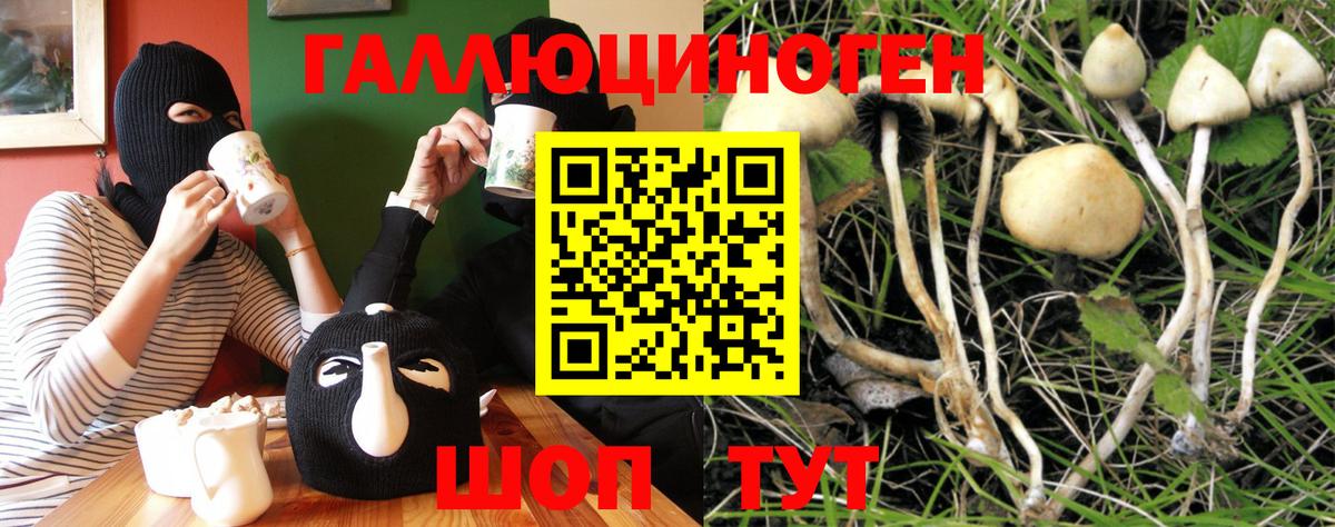 Псилоцибиновые грибы мухоморы  Вход с VPN  Домодедово 
